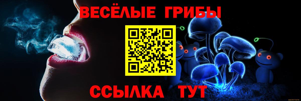 Галлюциногенные грибы Psilocybine cubensis  Вход с VPN  Шахты 